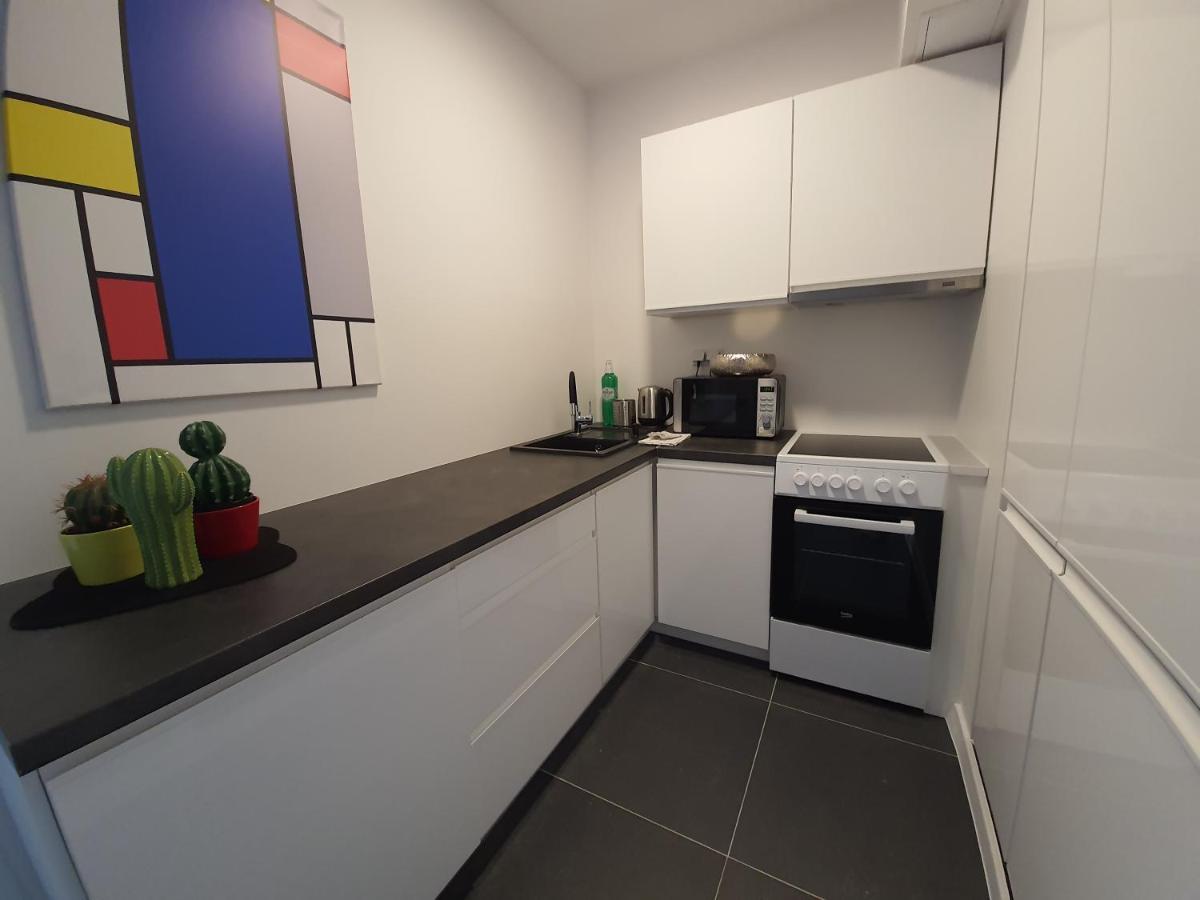 Appartamento Apartament Krakowska Prestige Breslavia Esterno foto