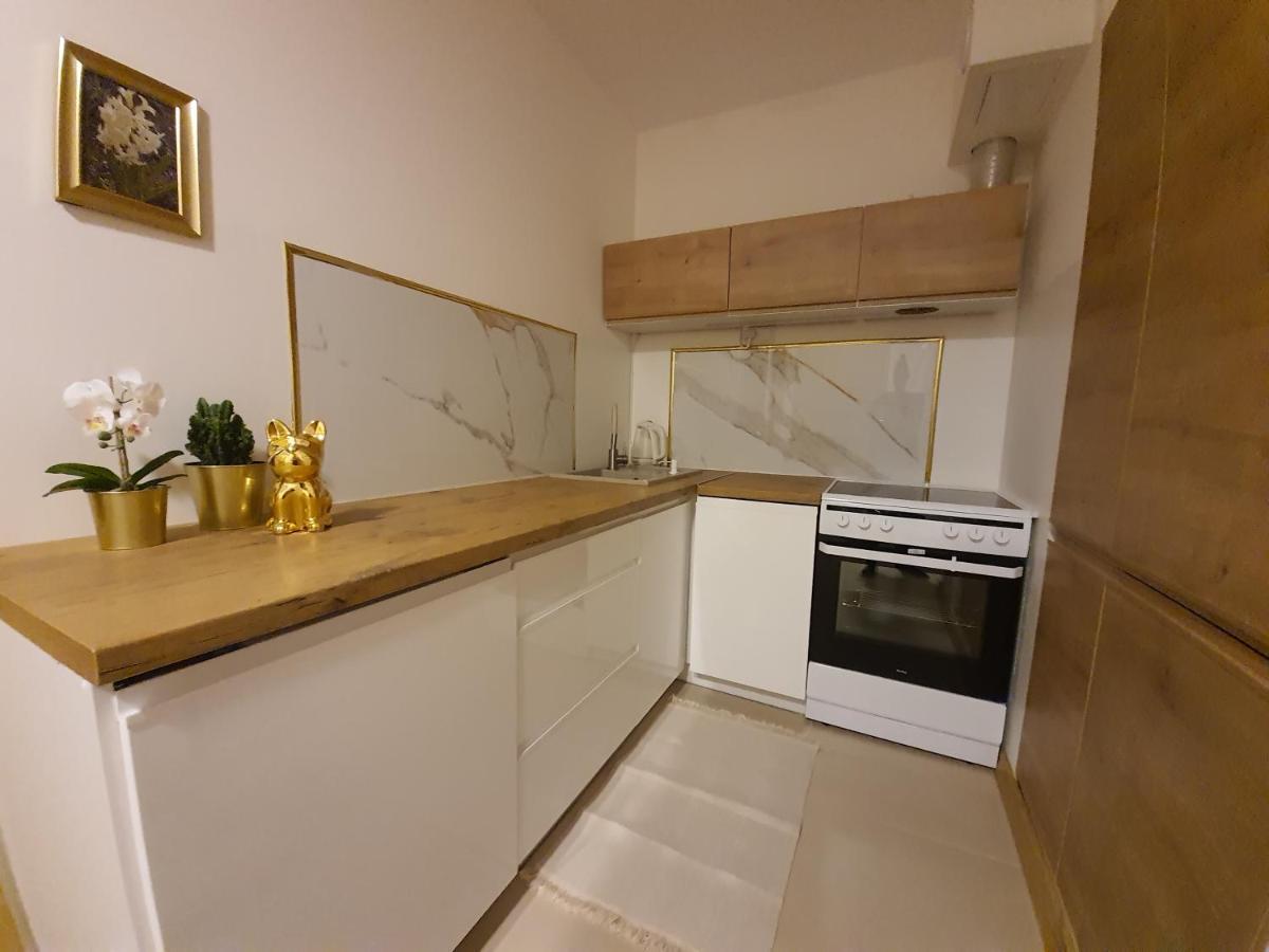 Appartamento Apartament Krakowska Prestige Breslavia Esterno foto